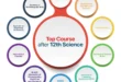 Best BSc Courses After 12th: Complete Guide for Students