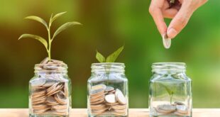 How Much Should You Save Each Month