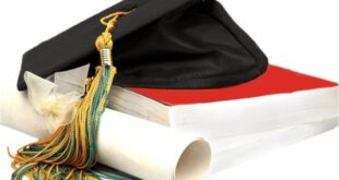 Top 10 BSc Degrees With Highest Salary Potential